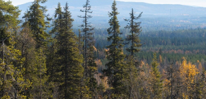 Kuusamo