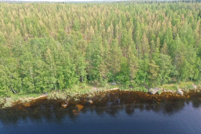 screen_2e2038d35d8c5a61_1687423738000