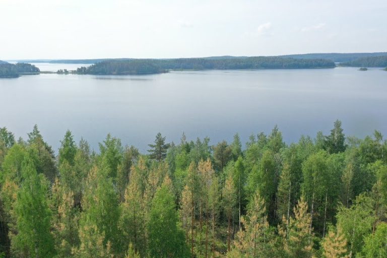 screen_49bc6db9c2e6c017_1687423708000