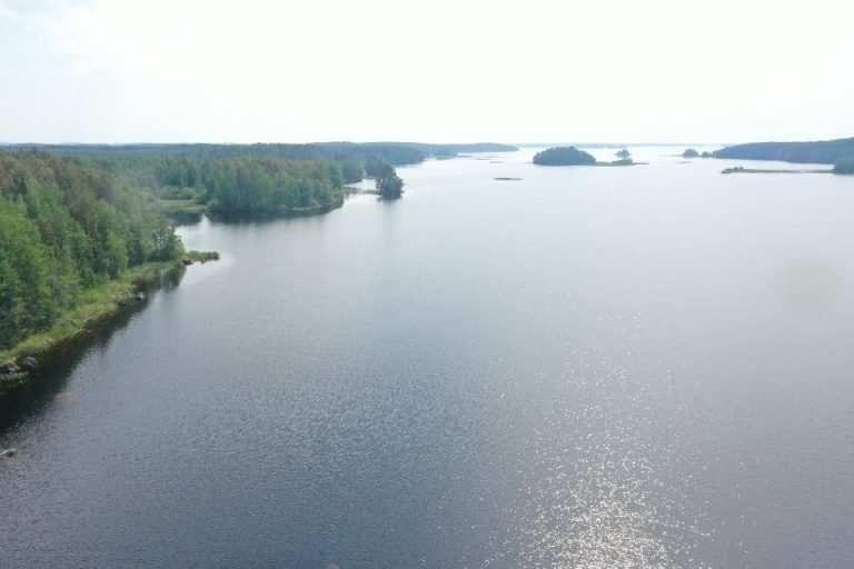 screen_78e78b4079af718b_1687423744000