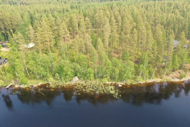 screen_cb92b65f82cc9e52_1687424200000