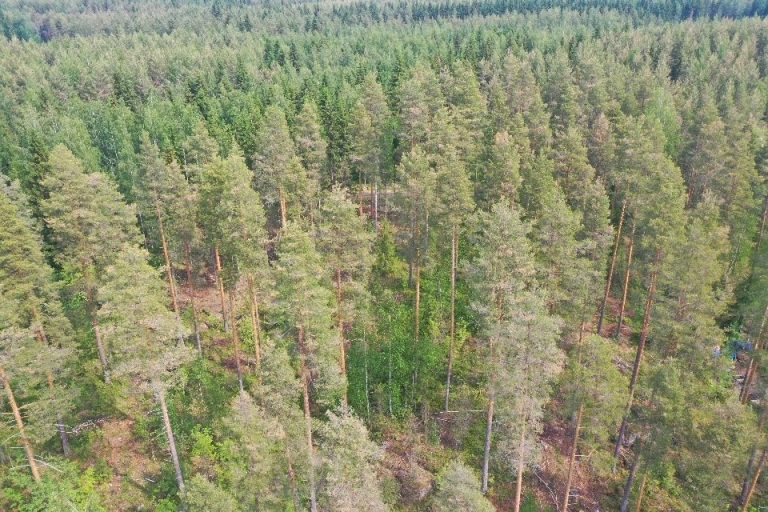 screen_d9d073548190e302_1687424210000