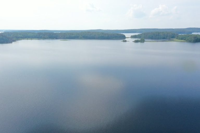 screen_f23d7444047ee85a_1687424178000