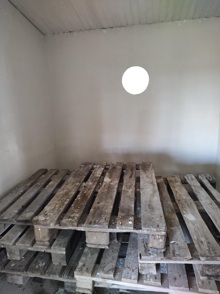 IMG_20221010_145249595