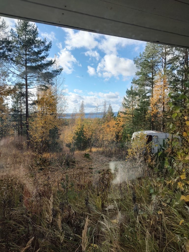 IMG_20221010_145302928_HDR