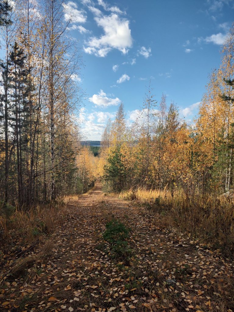 IMG_20221010_145703869_HDR