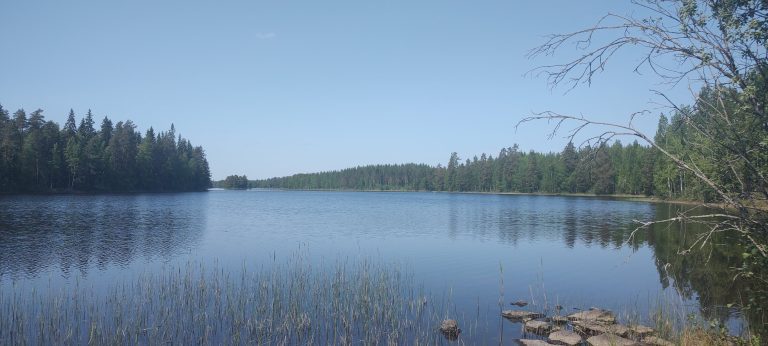 IMG_20230614_134604035