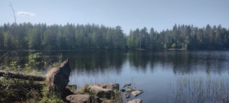 IMG_20230614_134606953_HDR