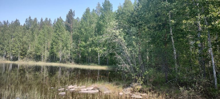 IMG_20230614_134635610_HDR