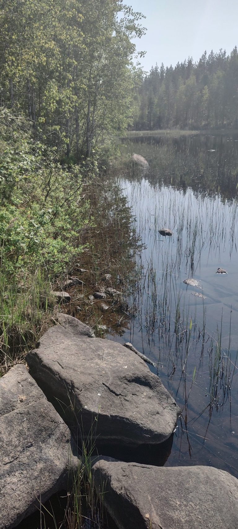 IMG_20230614_134646883_HDR