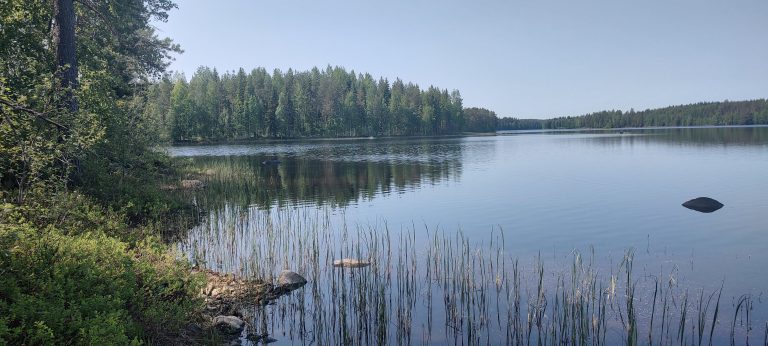 IMG_20230614_140241862_HDR