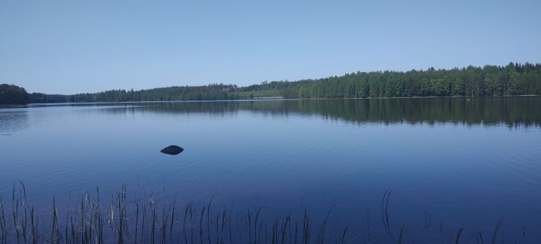 IMG_20230614_140245787