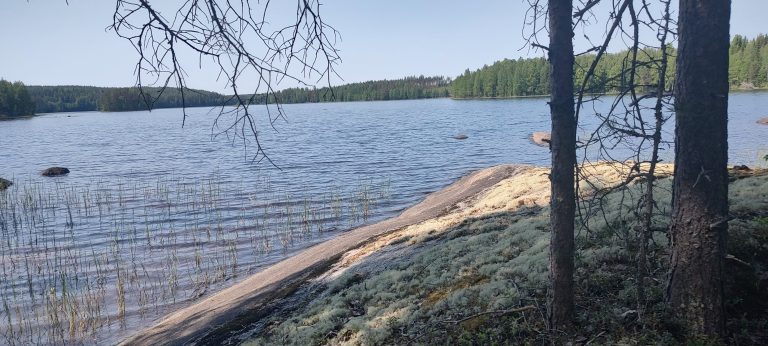 IMG_20230614_142856093_HDR