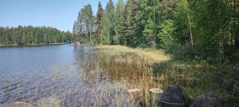 IMG_20230614_142908063_HDR