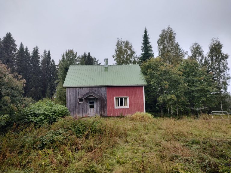 Lapinlahti päärakennus