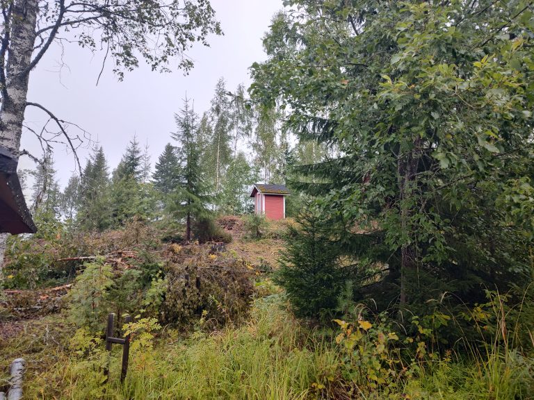 Lapinlahti ulkohuussi