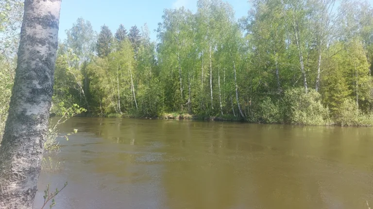 Kuviolta 13 tilalle päin