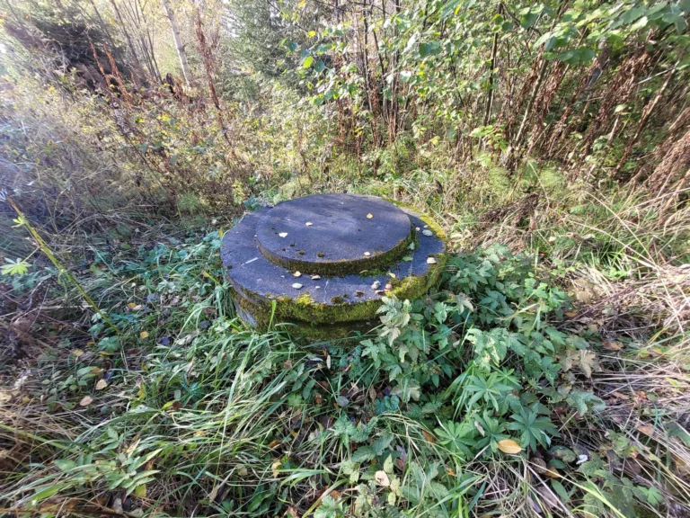 20241001_145710-scaled