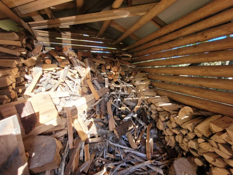 20241001_145830-scaled