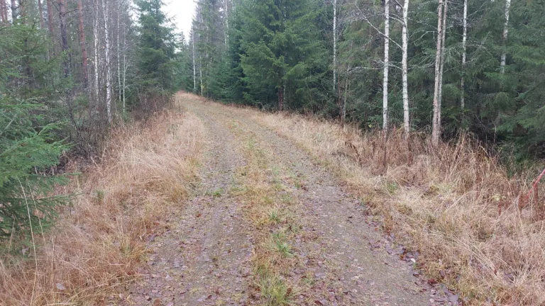 Tie kääntöpaikalle