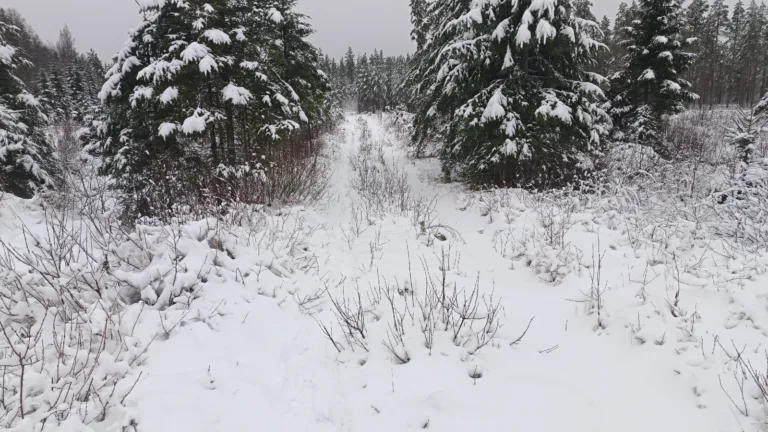 Tie kiinteistölle II