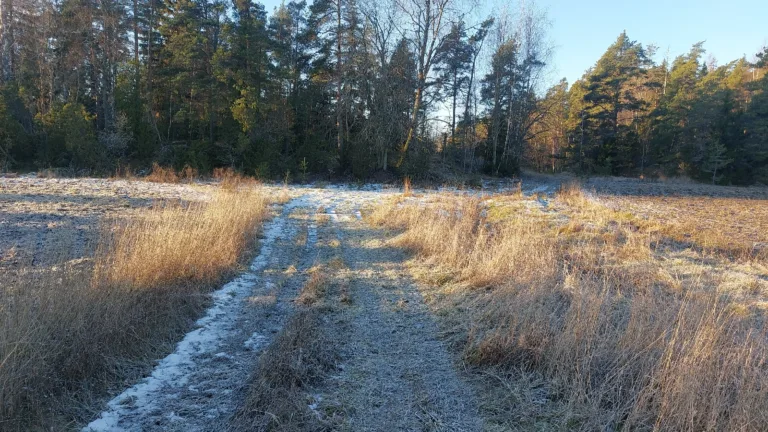 Tiepohja Ylikäisen metsäpalstaan