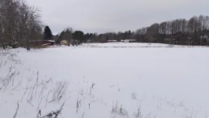 itäpuolen peltolohko II