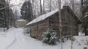 pihapiiriä pellolta päin