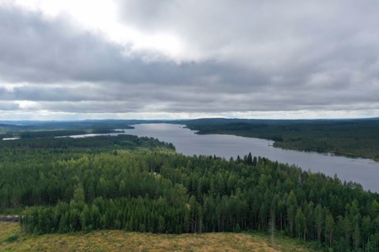Metsä ja järvi, Uimaharju