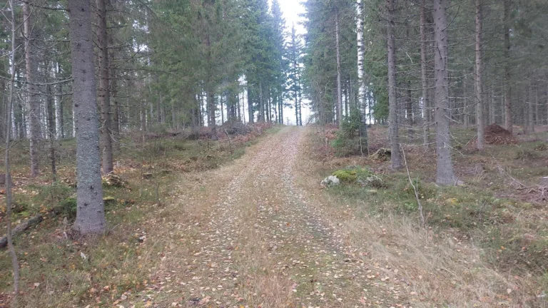 Tiepohja kuvioiden 2&3 välissä