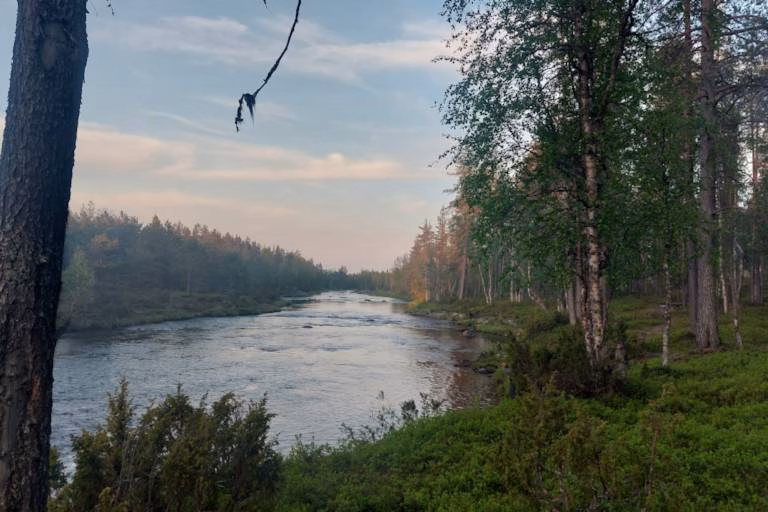 Kuinka myyn metsä­tilan