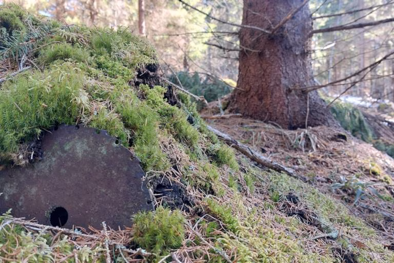 Metsän hinta