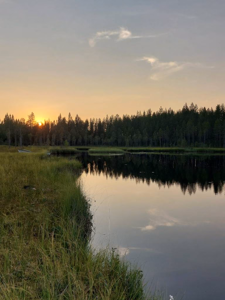 Metsän ostaminen