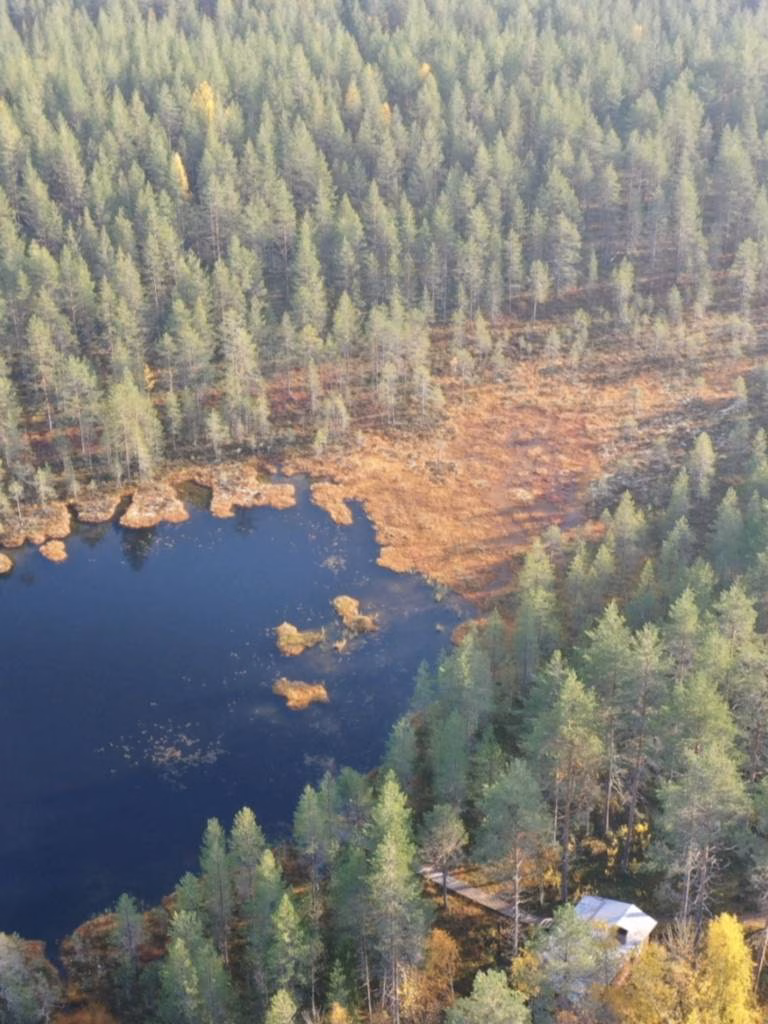Metsän ostaminen