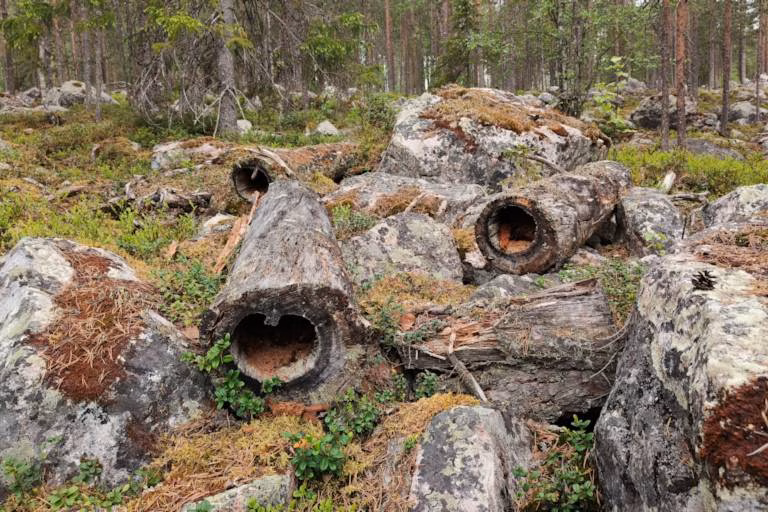 Perityn metsätilan myynti