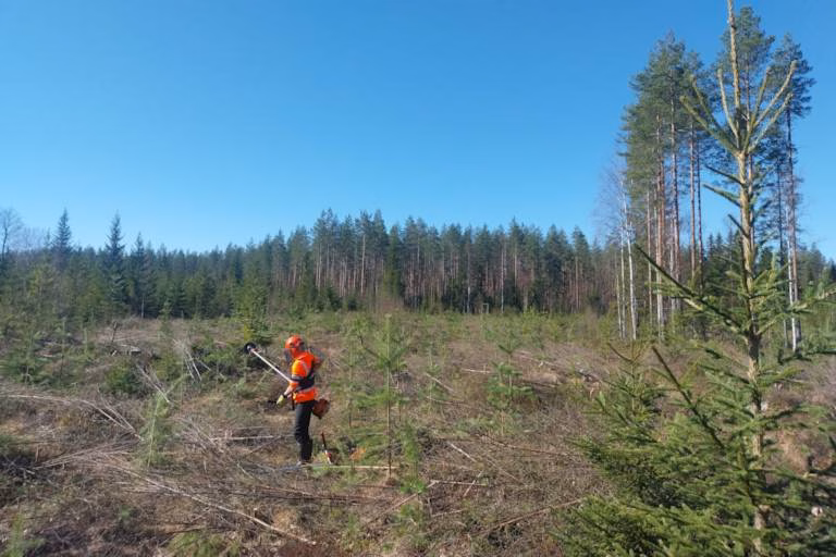 Perityn metsätilan myynti