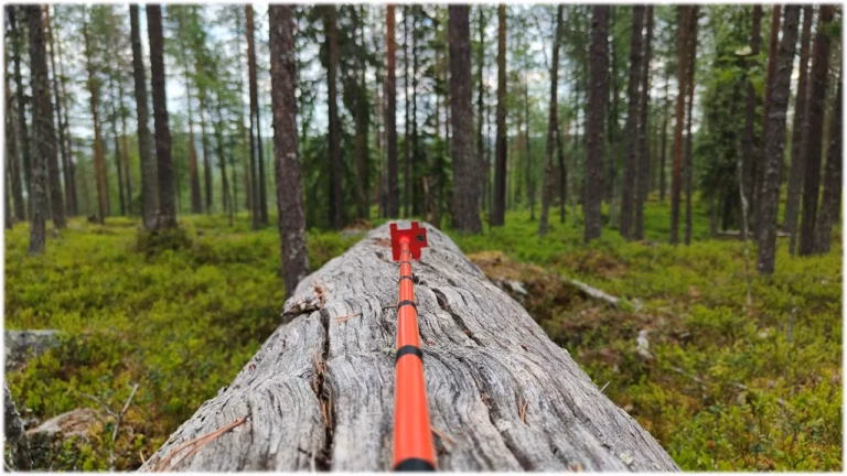 Metsätilan arvonmääritys vaatii ammattitaitoa sekä hintatietoa tehdyistä kaupoista