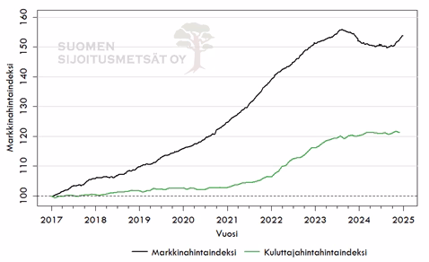 Sijoitusmetsien tiedote: Metsäkiinteistömarkkinoiden hintataso piti pintansa myös vuonna 2024