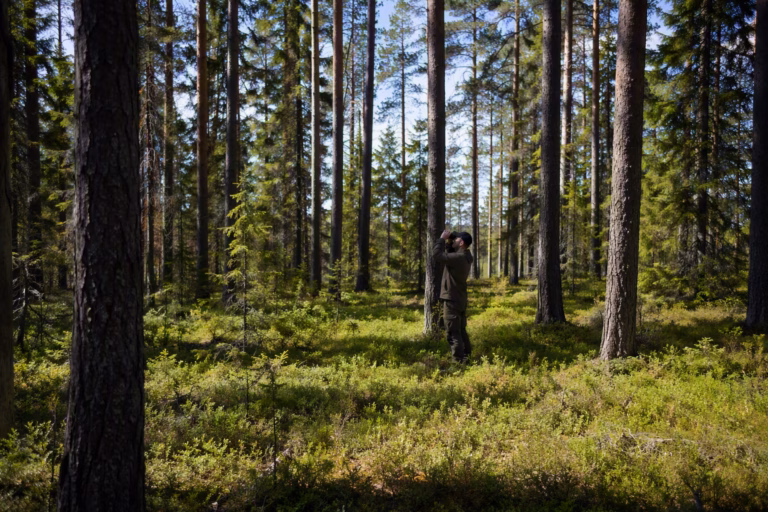 Miten käytän metsänmittausvälineitä? Metsäsijoituskoulu, Osa 21