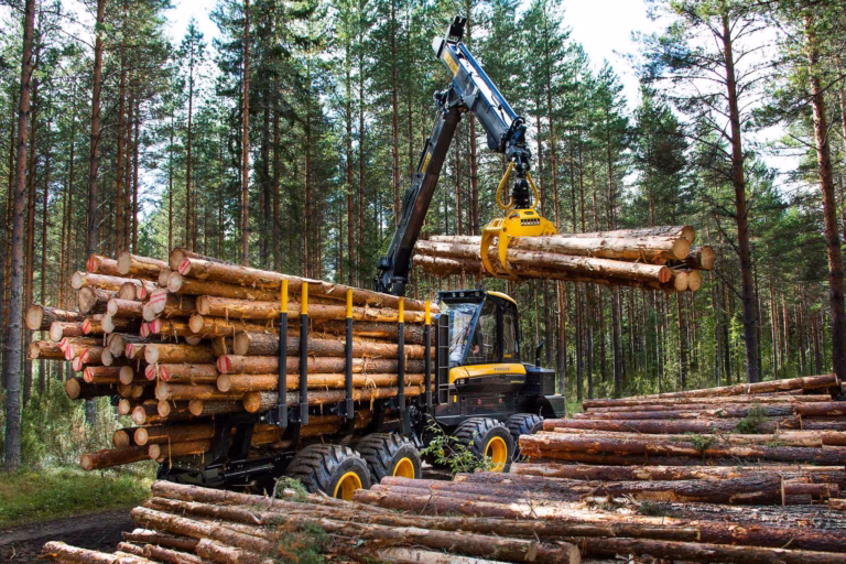 Mikä on metsän sijoitustuotto? Metsäsijoituskoulu, osa 8