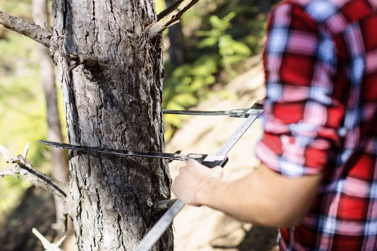 Mitä välineitä tarvitsen metsänmittaukseen? Metsäsijoituskoulu, Osa 20