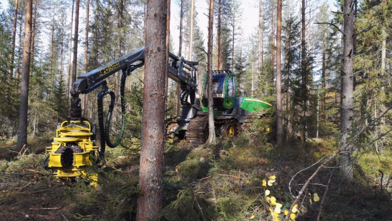 Mitkä tekijät vaikuttavat metsäkiinteistön arvoon? Metsäsijoituskoulu, Osa 6