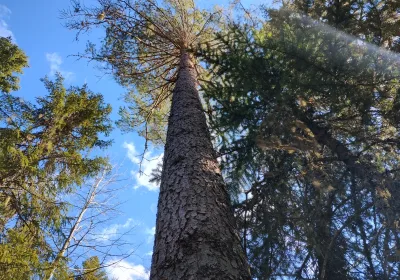 IMG_20240513_164713138_HDR