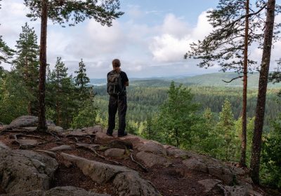 Yhteismetsä on ainutlaatuinen mahdollisuus päästä osakkaaksi palaan suomalaista luontoa.